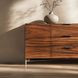 Brasea Lume and Tungsten 2 Door Buffet