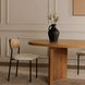 Foley White Performance Fabric Upholstered Dining Chair Set of 2