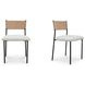 Foley White Performance Fabric Upholstered Dining Chair Set of 2