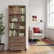 Tranquility Walnut Bookcase with LED