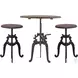 Regina Reclaimed Teak Adjustable Stool