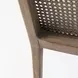 Clara Cream and Brown Performance Fabric Dining Chair