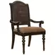 Kingstown Isla Verde Brown Upholstered Arm Chair