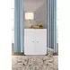 Beau White Lacquer 2 Door Soft Close Accent Cabinet
