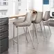 Magnus Gray And Silver Counter Height Chair Set Of 2