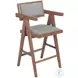 Delhi Gray Counter Height Stool Set Of 2