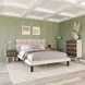Placid Beige Queen Upholstered Panel Bed