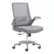 Pater Gray Office Chair