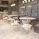 Equinox Oyster Gray Upholstered Dining Arm Chair