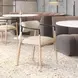 Equinox Oyster Gray Upholstered Dining Arm Chair