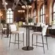 Freesia White Upholstered Counter Height Stool Set of 2
