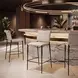 Freesia White Upholstered Bar Stool Set of 2