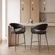 Limay Black Upholstered Counter Height Stool