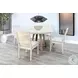 Cozy Luxe Light Gray Cane Back Dining Chair Set of 2