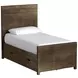 Dovetail Taupe Twin Panel Bed