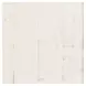 Madison County Vintage White 70" Barn Door Server