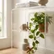 Crystal Clear Acrylic Bookcase