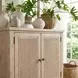 Flagstaff Desert Sand Accent Cabinet