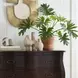 Rochelle Chocolate 2 Drawer Chest