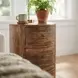 Liam Light Brown Wood Storage End Table