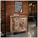 Eden Prairie Brown 2 Door Accent Cabinet