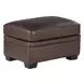 Dalton Brown Chestnut Leather Living Room Set