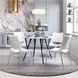 Ace White And Brushed Stainless Steel Dining Chair Set Of 2