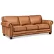 Colwyn Saddle Leather Living Room Set
