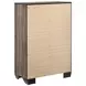 Kauffman Washed Taupe Chest