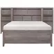 Woodrow Gray Full Storage Wall Bed with Nightstand and Toybox