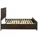 Fenbrook Dark Cocoa Queen Storage Panel Bed