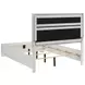 Miranda White Queen Upholstered Panel Bed