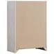 Brantford Coastal White Chest