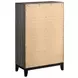 Watson Gray Oak And Black Chest