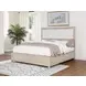 Pembroke Washed Oak and Cream King Upholstered Panel Bed with Nailhead Trim
