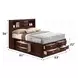 Ireland Espresso Queen Bookcase and Storage Bed