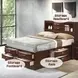Ireland Espresso Queen Bookcase and Storage Bed