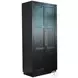 Rustic Refined Black 2 Door Storage Cabinet