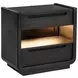 Leandro Burnished Black 2 Drawer Nightstand with LED Light and USB Charging