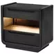 Leandro Burnished Black 2 Drawer Nightstand with LED Light and USB Charging