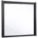 Leandro Burnished Black Rectangular Dresser Mirror