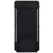 Leandro Burnished Black Floor Mirror