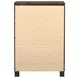 Woodmont Rustic Golden Brown Chest
