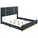 Ines Navy and Gold Queen Upholstered Panel Bed