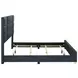 Ines Navy and Gold Queen Upholstered Panel Bed
