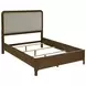 Maderia Walnut Queen Upholstered Panel Bed
