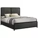 Cavelle Black King Upholstered Panel Bed