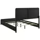 Cavelle Black Queen Upholstered Panel Bed