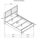 Cavelle Black Queen Upholstered Panel Bed