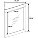 Caraway Black Dresser Mirror